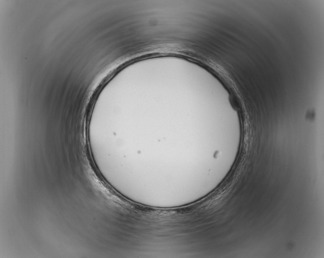 X0000114160939200911051501