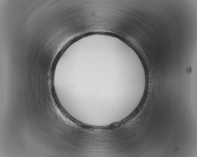 X0000114160942200911051501