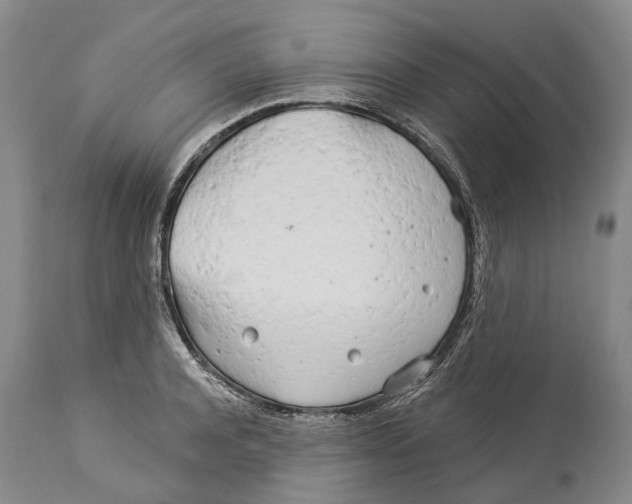 X0000114160944200911051501