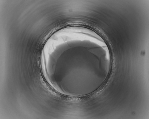 X0000114160945200911051501