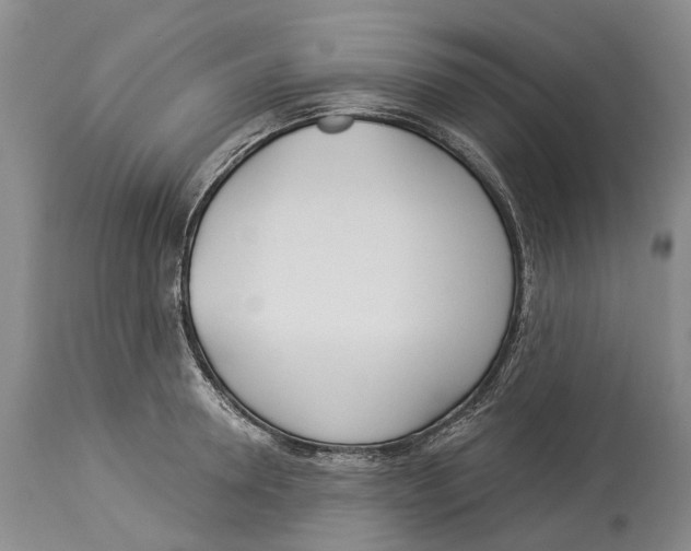 X0000114160946200911051501