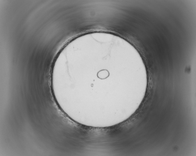 X0000114160950200911051502