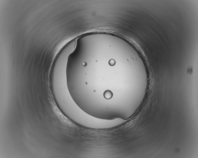 X0000114160952200911051502