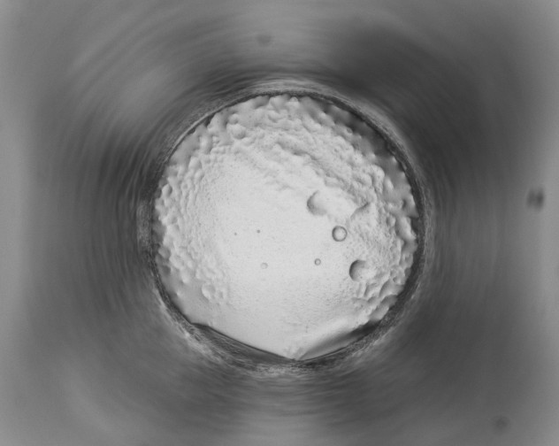 X0000114160953200911051502