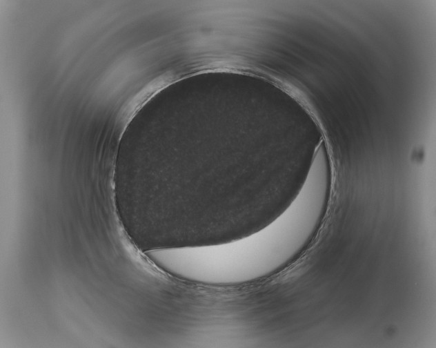 X0000114160954200911051502