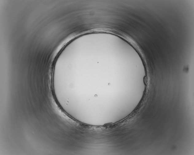 X0000114160955200911051502