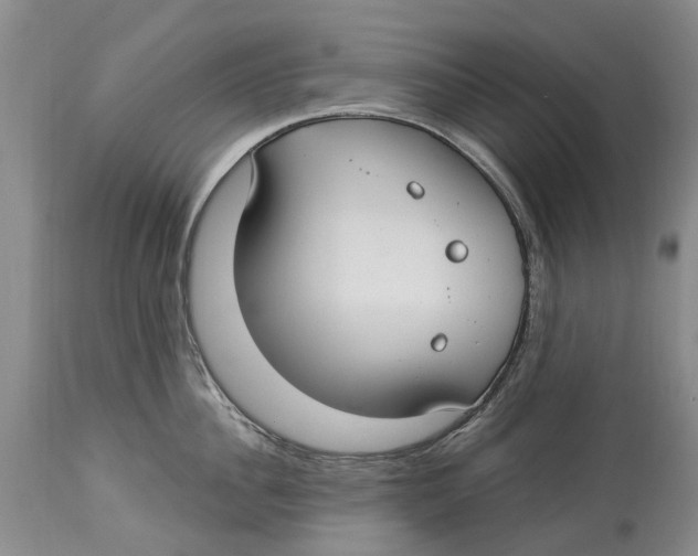 X0000114160956200911051502