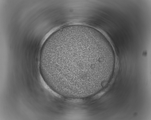 X0000114160957200911051502