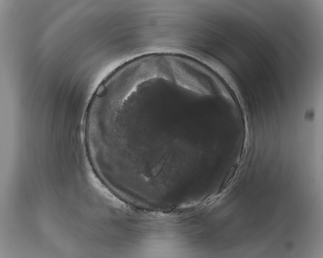 X0000114160958200911051502