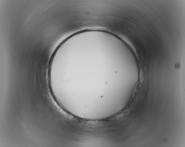 X0000114160959200911051502