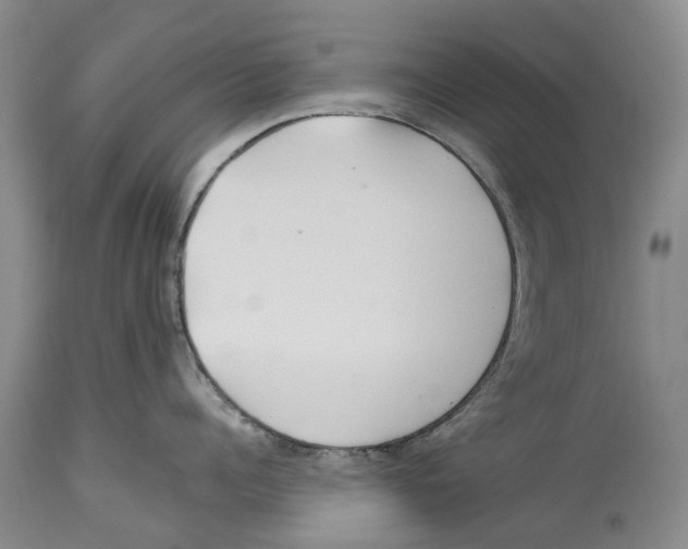 X0000114160960200911051502