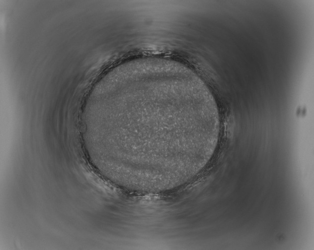 X0000114160961200911051501