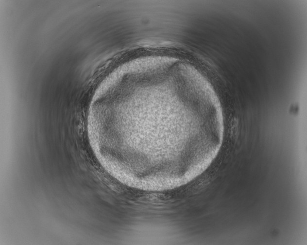 X0000114160966200911051501