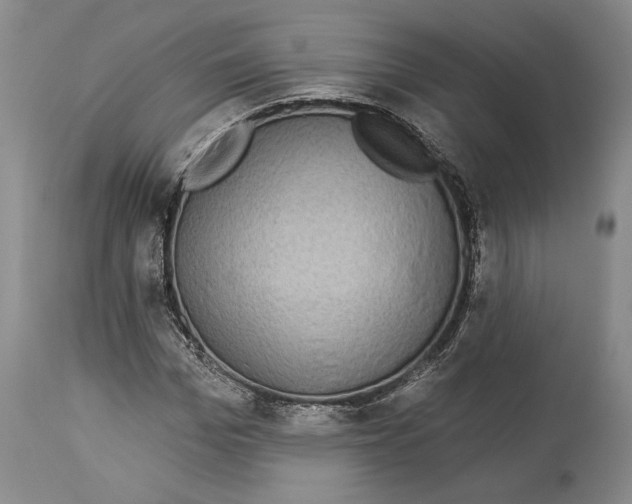 X0000114160969200911051501