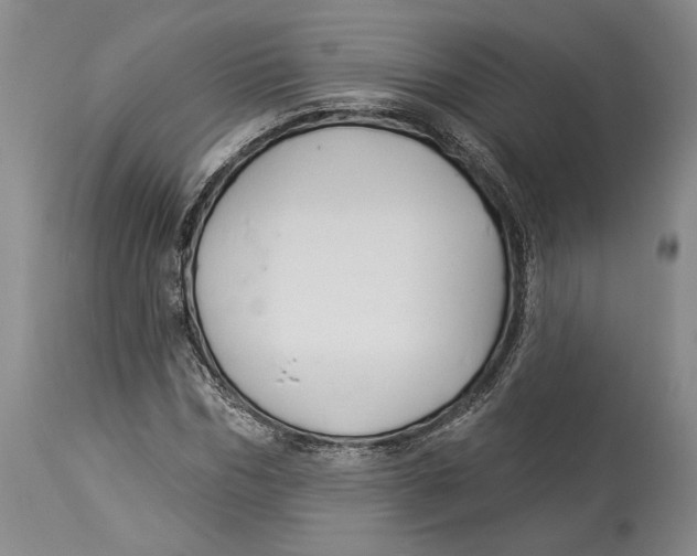 X0000114160970200911051501