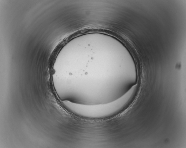 X0000114160973200911051501