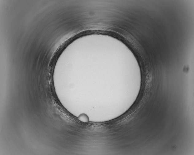 X0000114160974200911051501