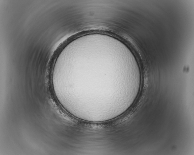 X0000114160975200911051501