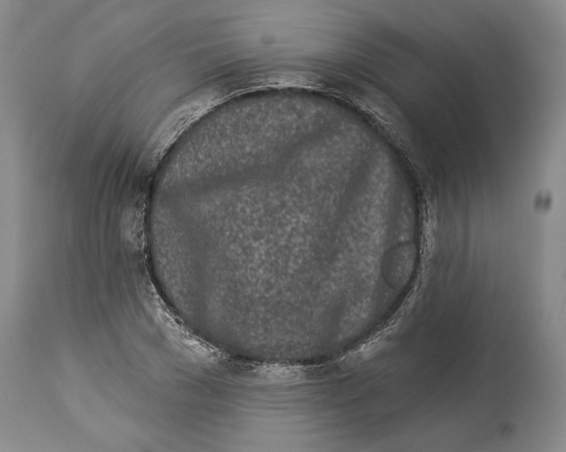 X0000114160977200911051501