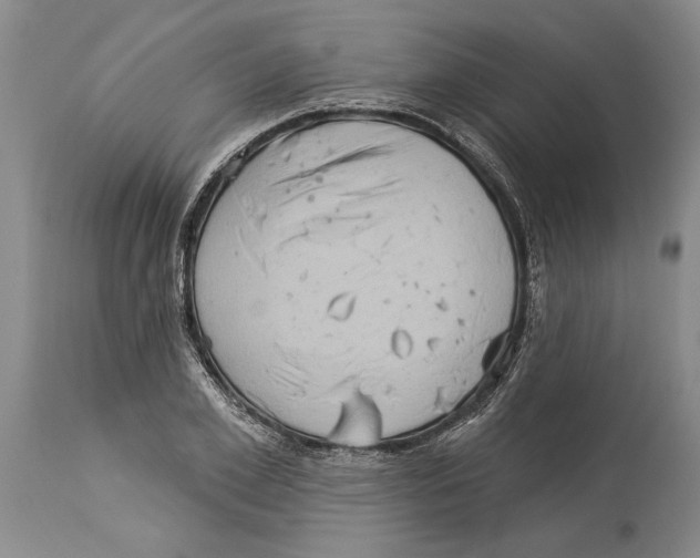 X0000114160981200911051501