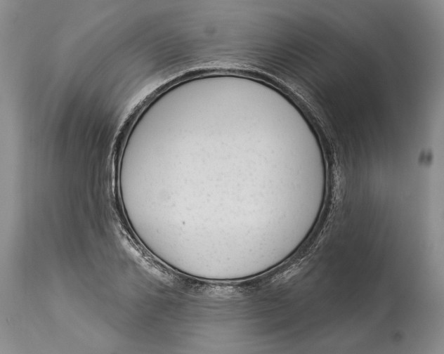 X0000114160982200911051501