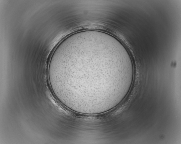 X0000114160986200911051501