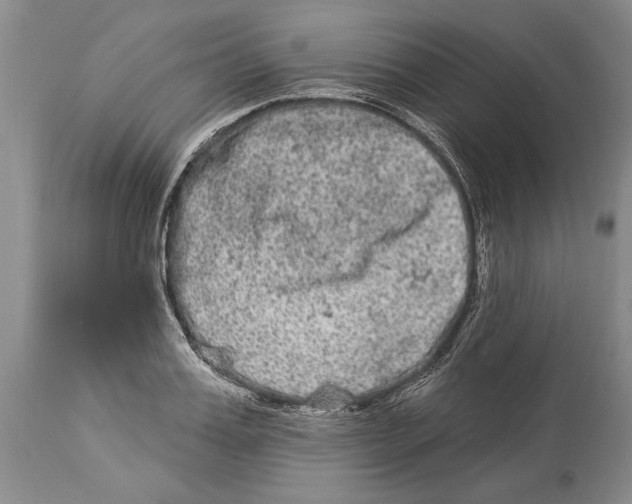 X0000114160987200911051501