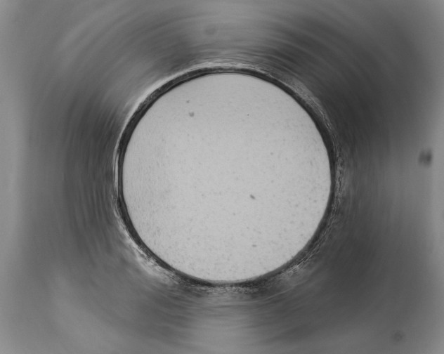 X0000114160988200911051501