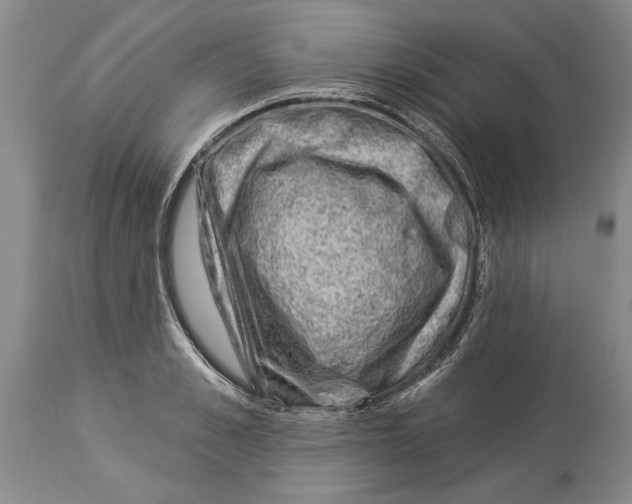 X0000114160989200911051501