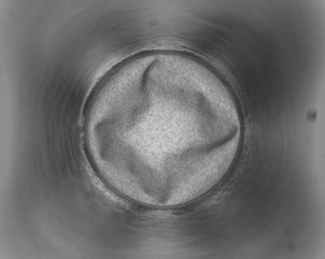 X0000114160990200911051501