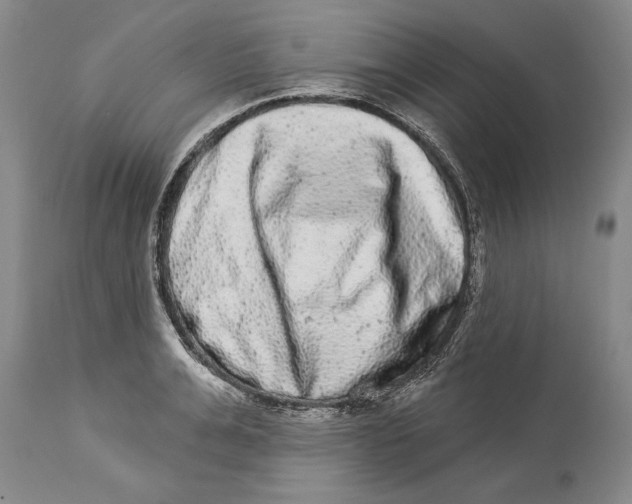 X0000114160991200911051501