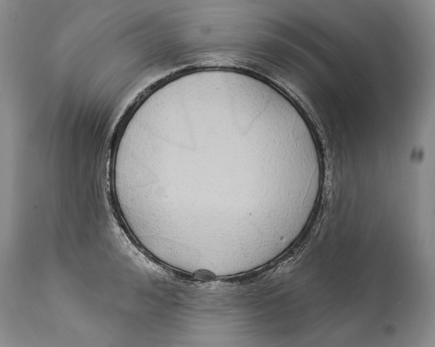 X0000114160992200911051501