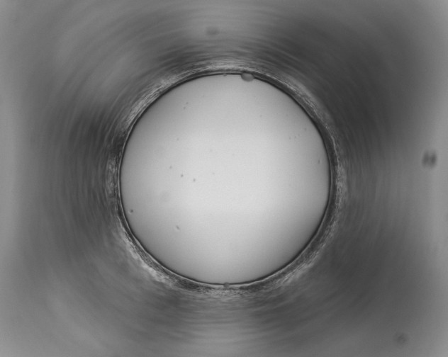 X0000114160993200911051501