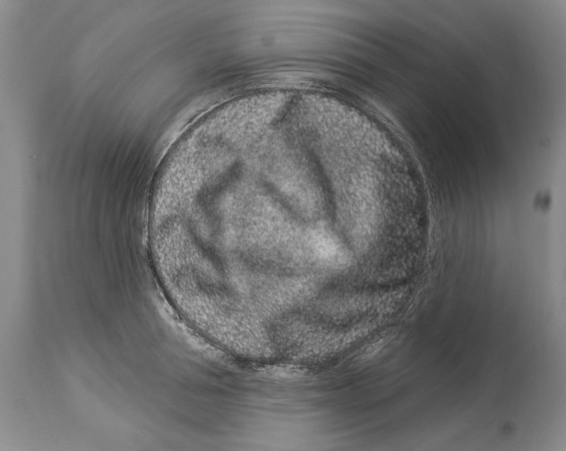 X0000114160994200911051501