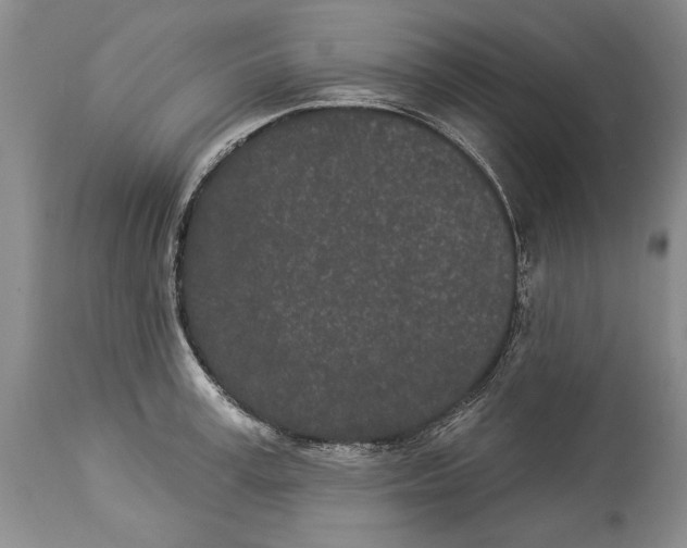 X0000114160995200911051501