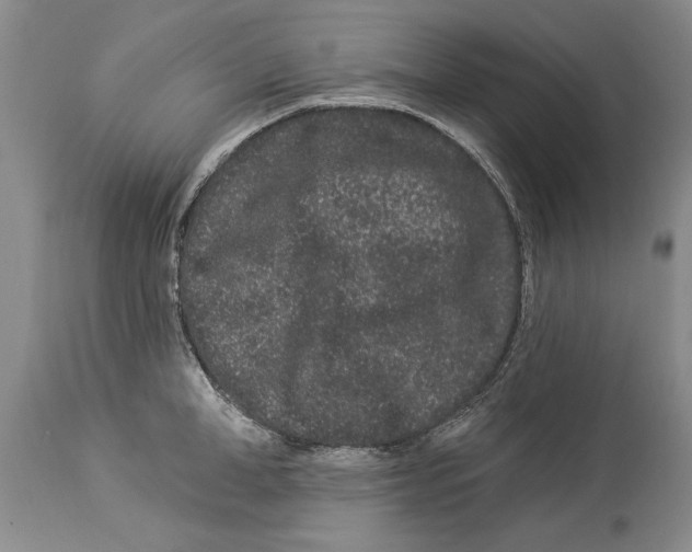 X0000114160998200911051500