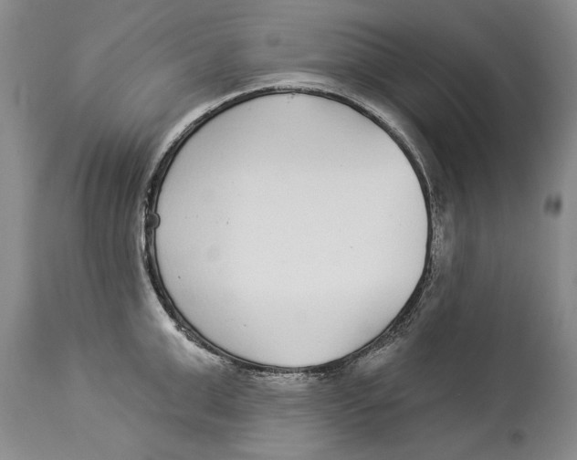 X0000114160999200911051500