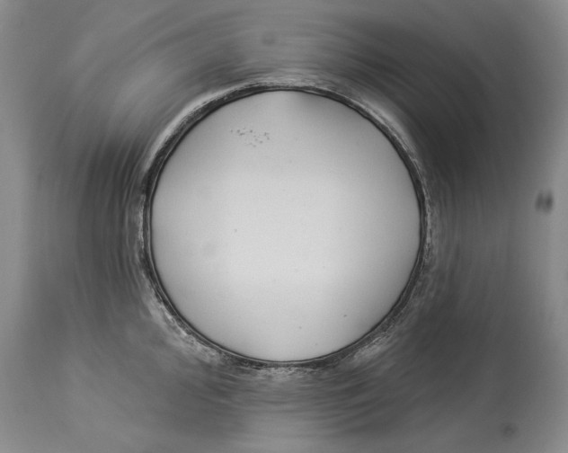 X0000114161000200911051500