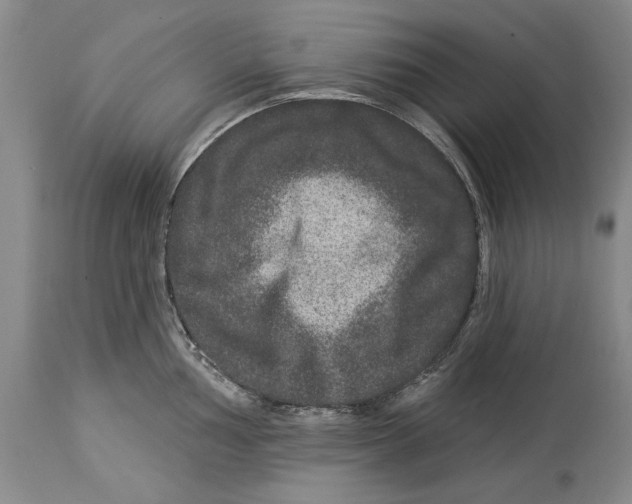 X0000114161002200911051500