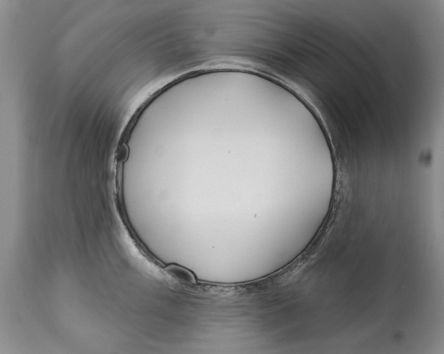 X0000114161003200911051500