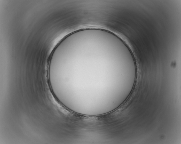 X0000114161006200911051500