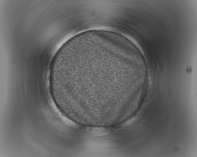 X0000114161007200911051500