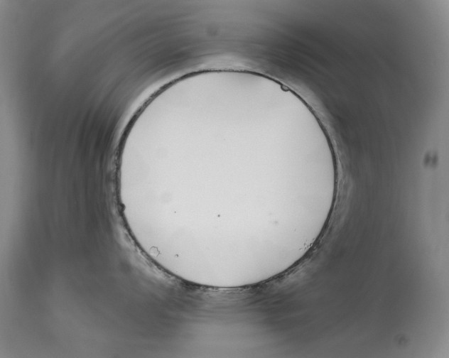 X0000114161008200911051500