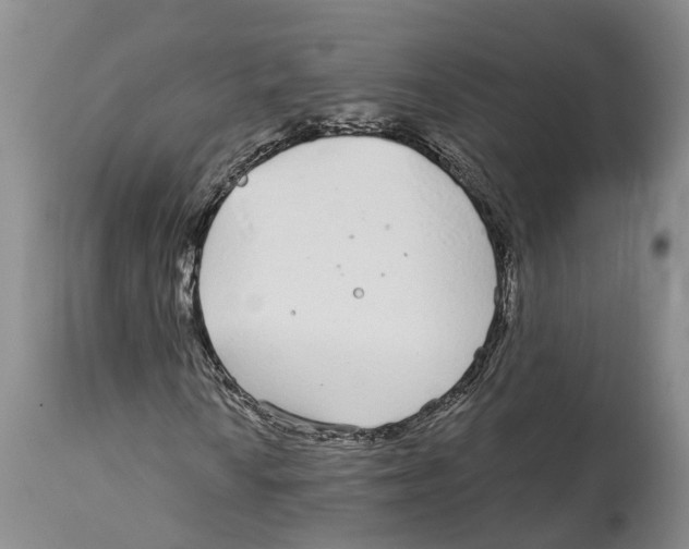 X0000114161010200911051500