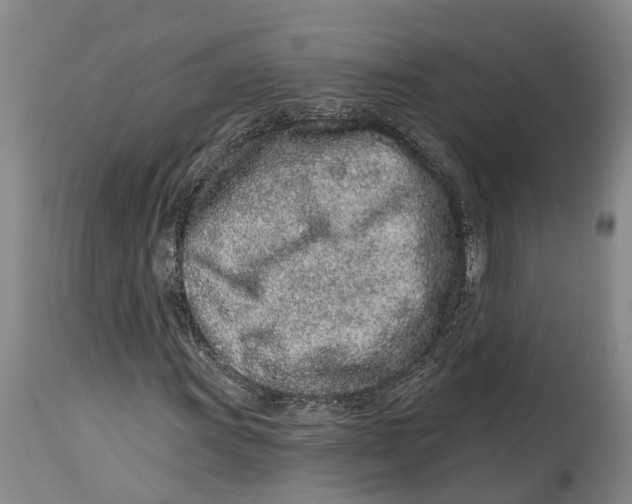 X0000114161011200911051500