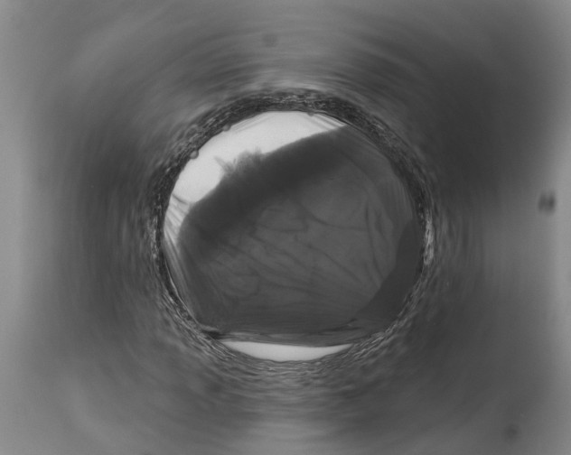 X0000114161013200911051500