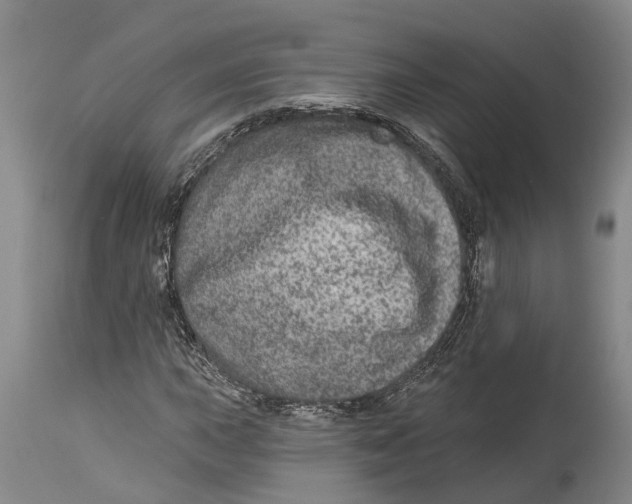 X0000114161015200911051500