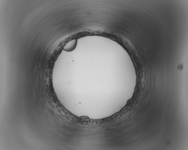 X0000114161016200911051500