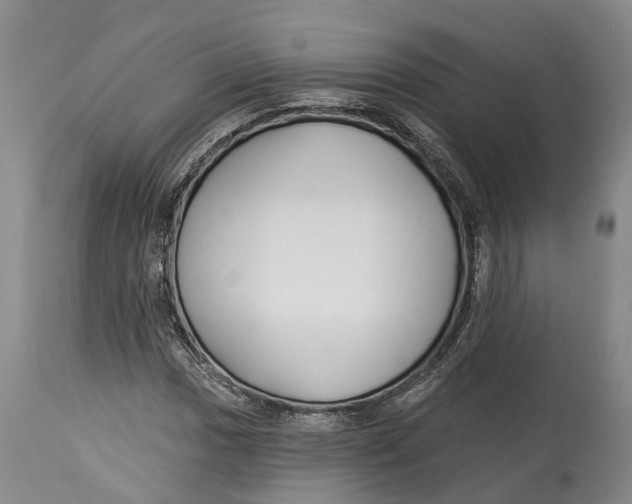 X0000114161017200911051500