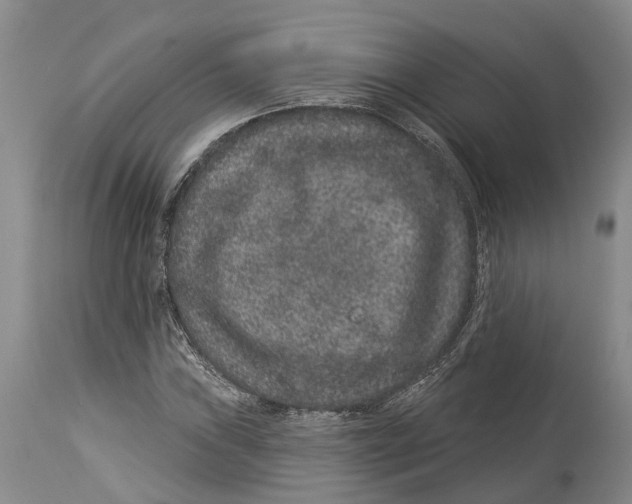 X0000114161019200911051500